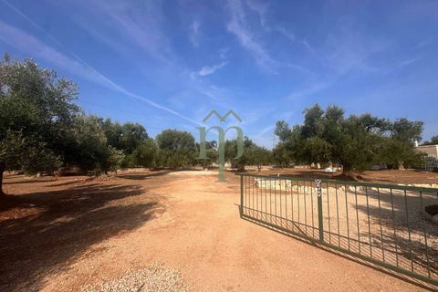 Villa i Carovigno, Brindisi, Carovigno - € 340.000 | Ref: Villa Casellini - foto 13